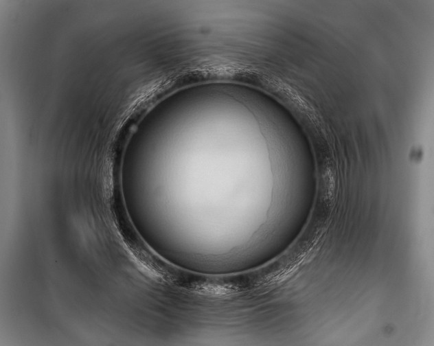 X0000101210638200806271416