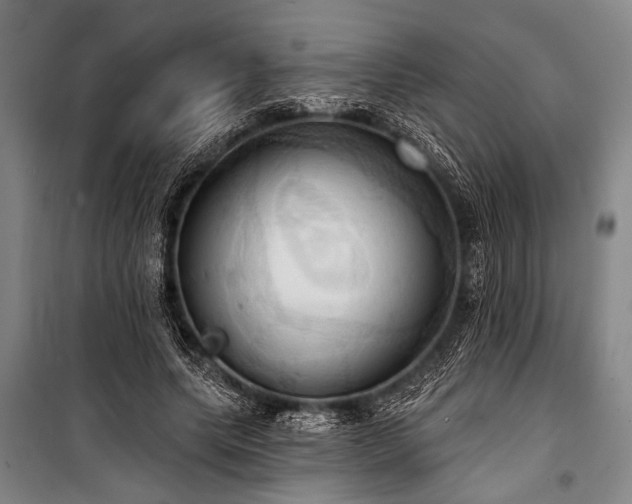 X0000101210639200806271416