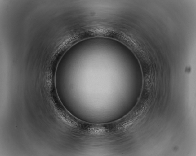 X0000101210642200806271416