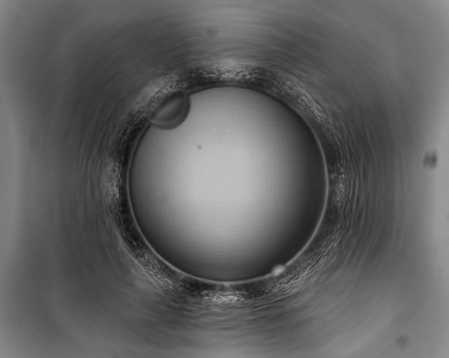 X0000101210643200806271416