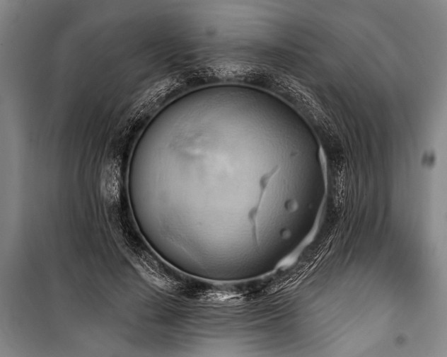 X0000101210644200806271416