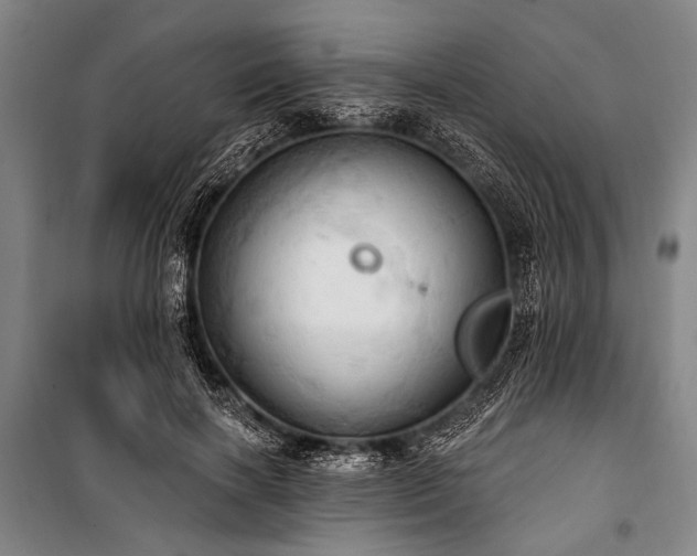 X0000101210646200806271416