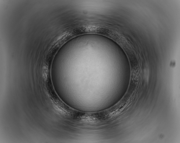 X0000101210648200806271416