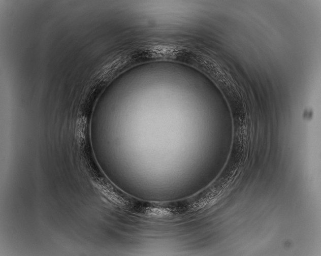 X0000101210649200806271416