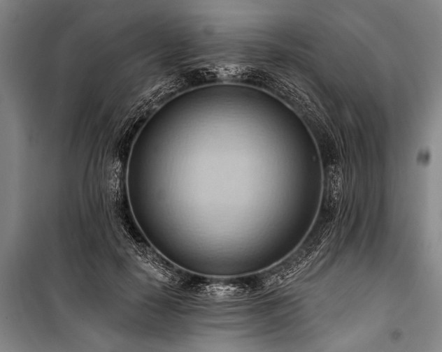 X0000101210650200806271416