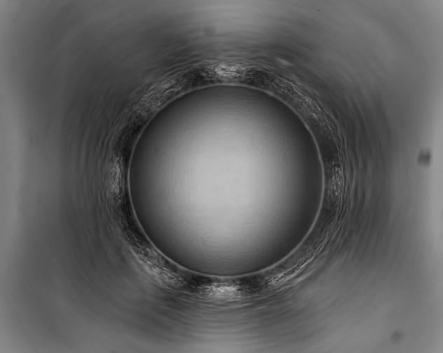 X0000101210651200806271416