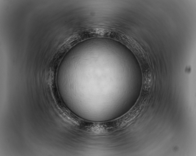 X0000101210656200806271416