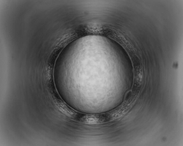 X0000101210658200806271416