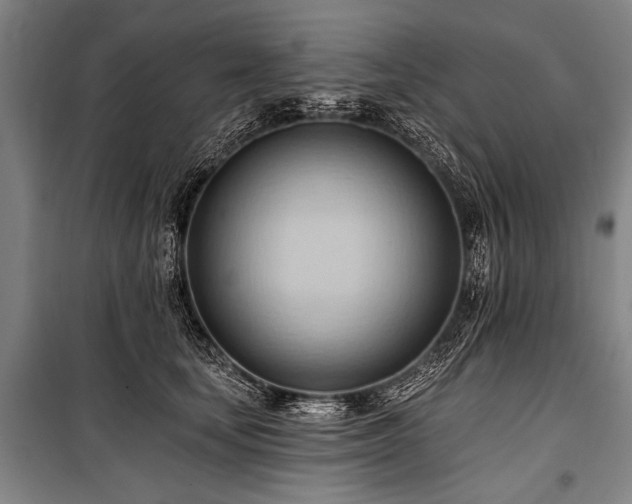 X0000101210659200806271416