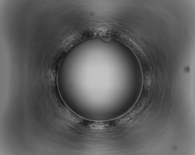 X0000101210661200806271416