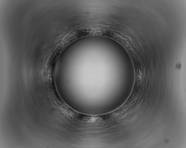 X0000101210663200806271416