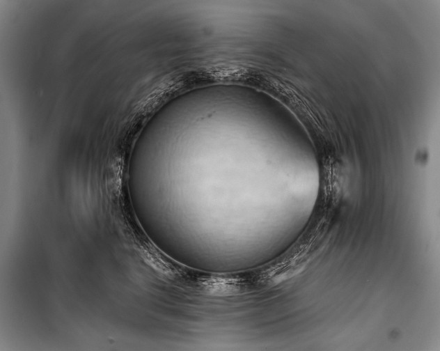 X0000101210664200806271416