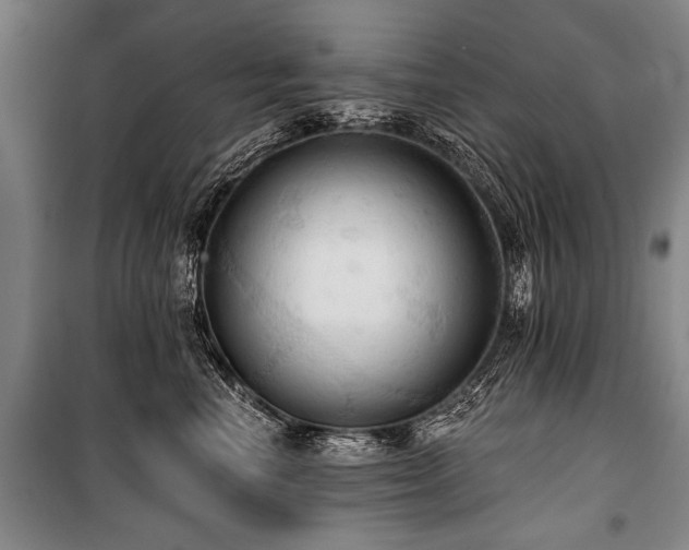 X0000101210666200806271416