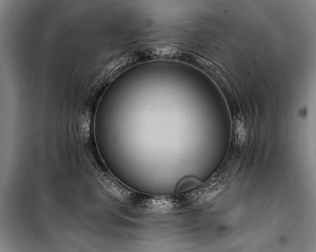 X0000101210668200806271416