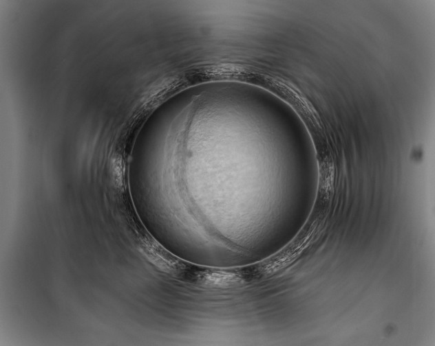 X0000101210669200806271416