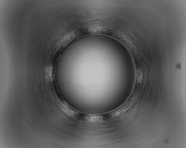 X0000101210670200806271416