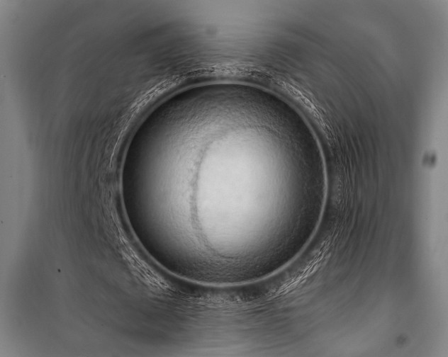 X0000101210673200806271415