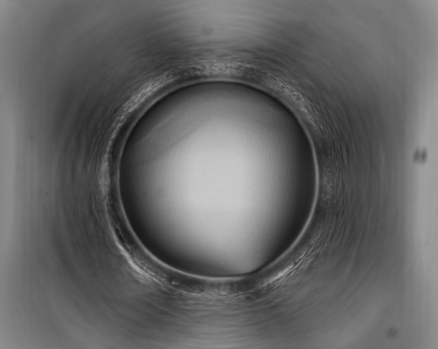 X0000101210674200806271415