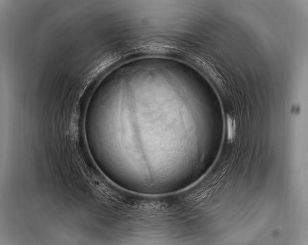 X0000101210675200806271415