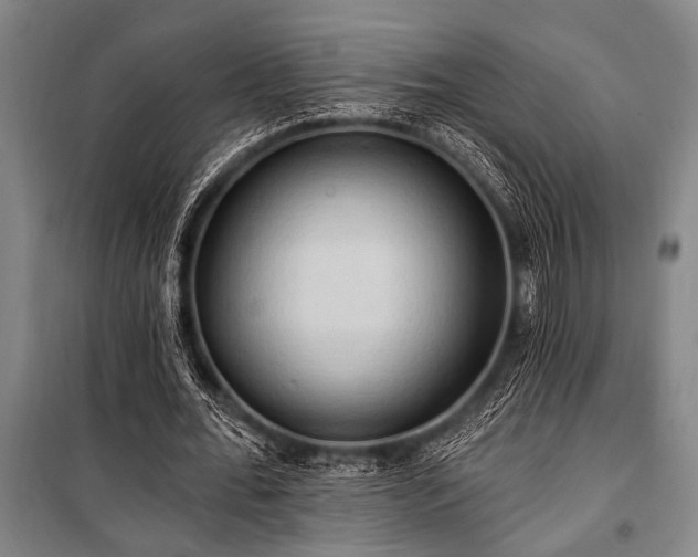 X0000101210676200806271415