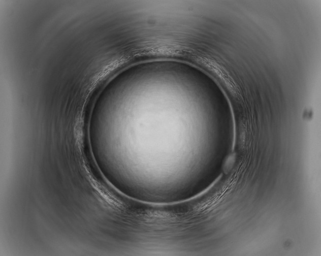 X0000101210677200806271415