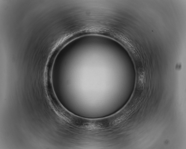 X0000101210678200806271415