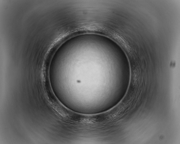 X0000101210680200806271415