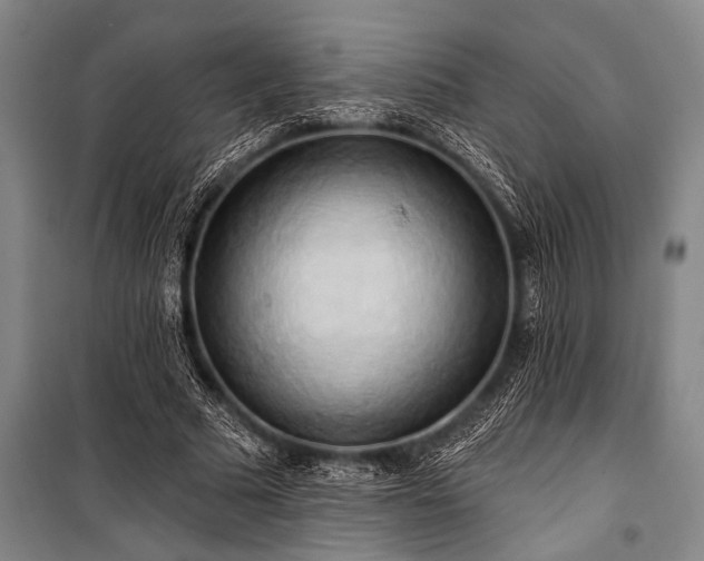 X0000101210681200806271415