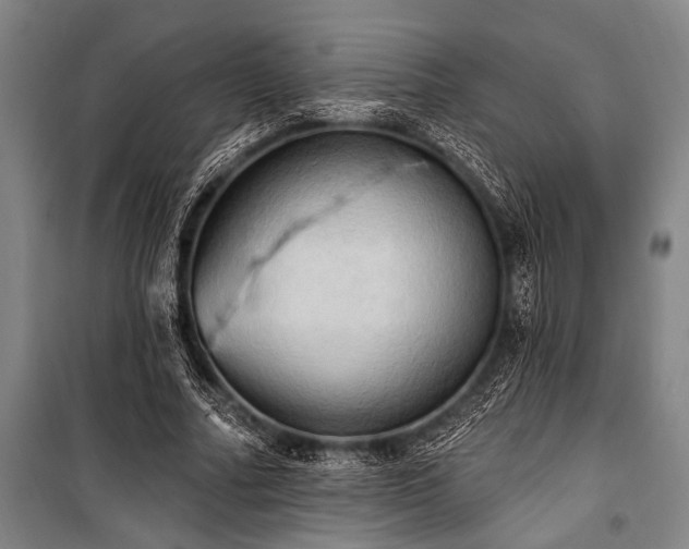 X0000101210682200806271415