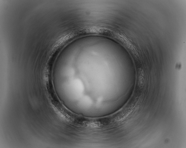 X0000101210683200806271415