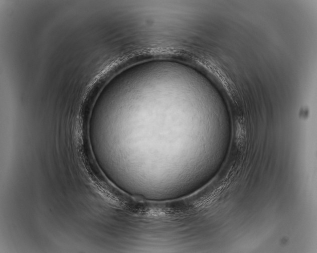 X0000101210684200806271415