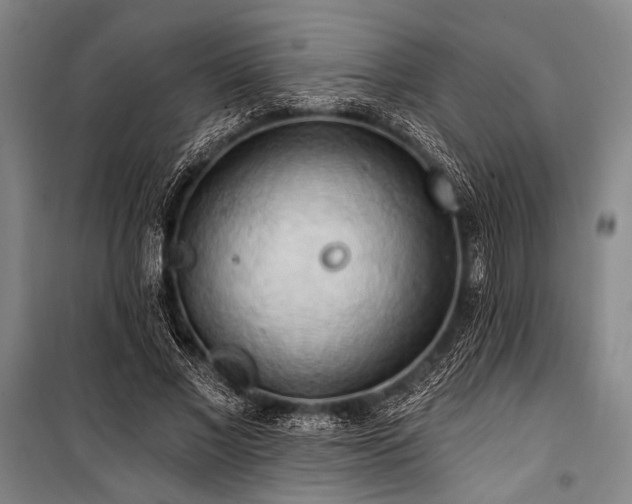 X0000101210685200806271415