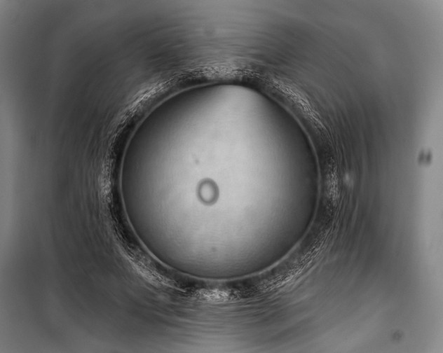 X0000101210687200806271415