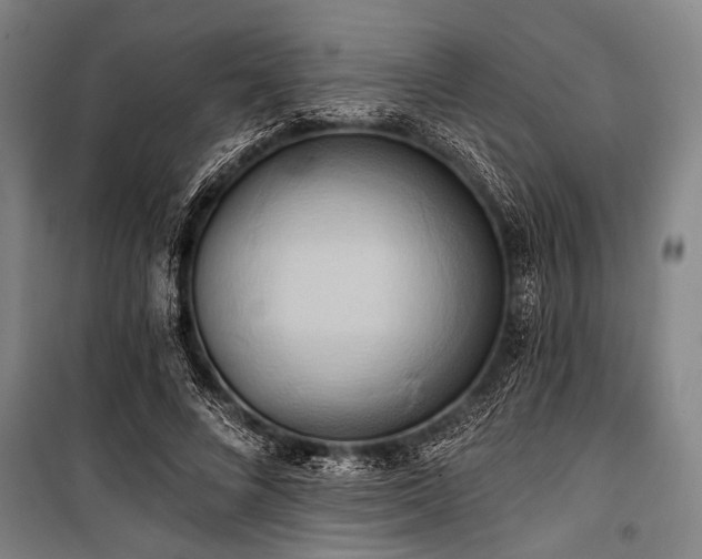 X0000101210688200806271415