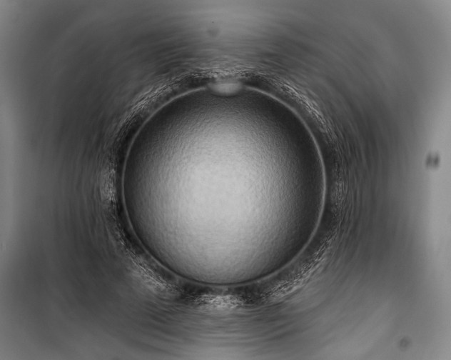 X0000101210689200806271415