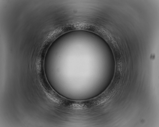 X0000101210690200806271415