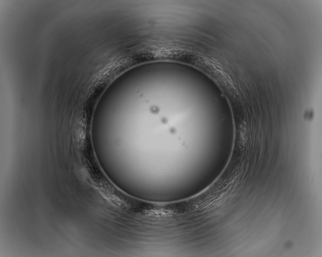 X0000101210691200806271415