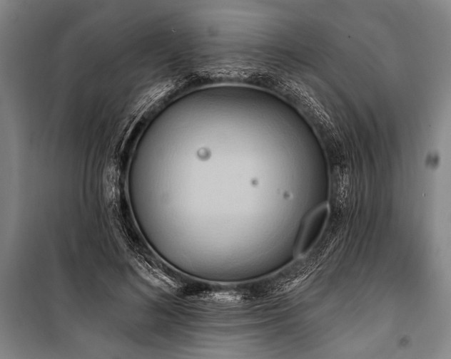 X0000101210692200806271415