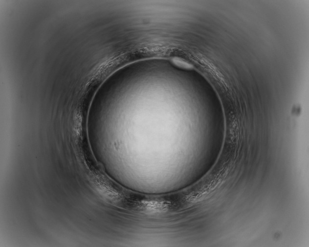 X0000101210693200806271415