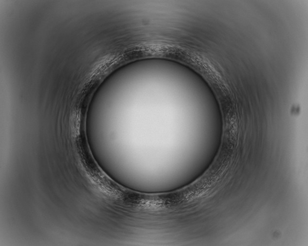 X0000101210694200806271415