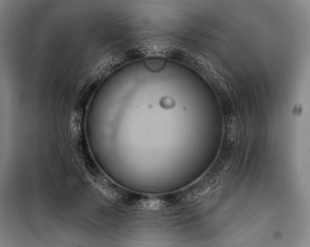 X0000101210695200806271415