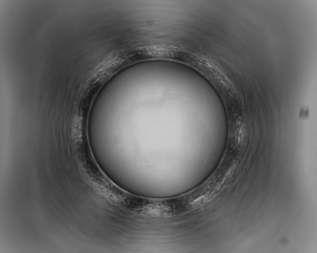 X0000101210696200806271415