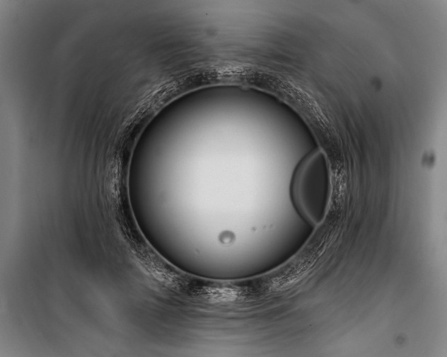 X0000101210698200806271415