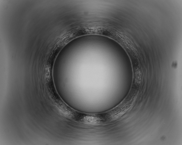 X0000101210699200806271415