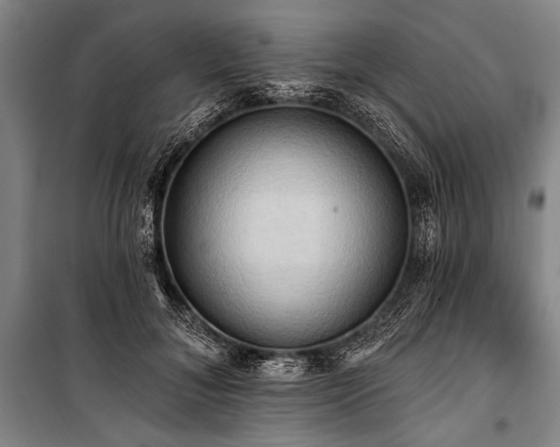 X0000101210700200806271415