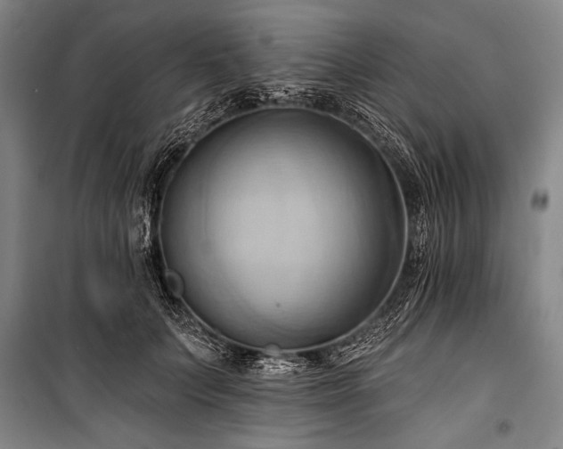 X0000101210703200806271415