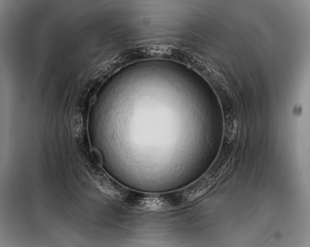 X0000101210704200806271415