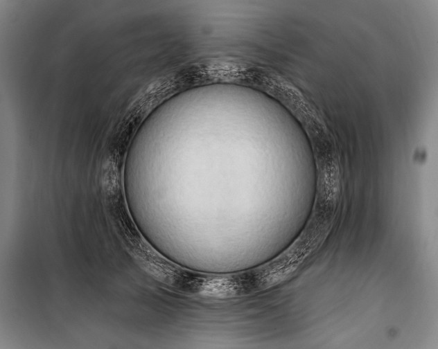 X0000101210705200806271415