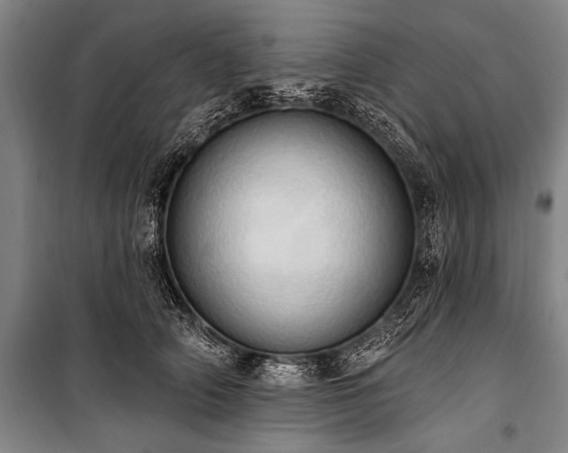 X0000101210706200806271415