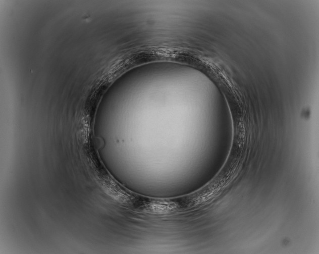 X0000101210707200806271415